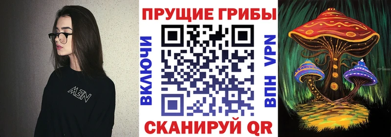 Галлюциногенные грибы Psilocybe  Новая Усмань 